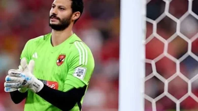 محمد الشناوي