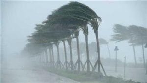 العاصفة الاستوائية بوالوي