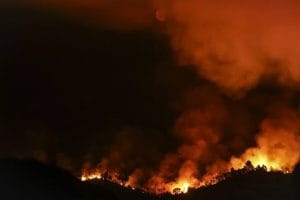 حرائق غابات جديدة 