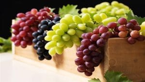 الفاكهة الخارقة العنب