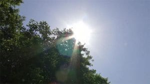 الأرصاد الجوية المصرية 