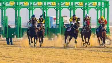 ميدان سباقات الخيل