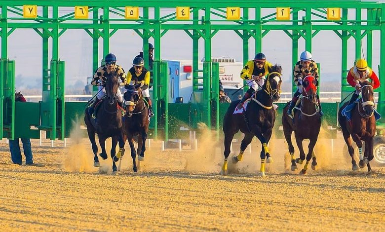 ميدان سباقات الخيل