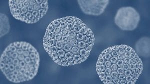 حمى الوادي المتصدع