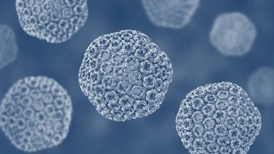 حمى الوادي المتصدع