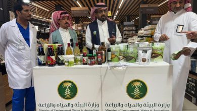 ‏بيئة الطائف